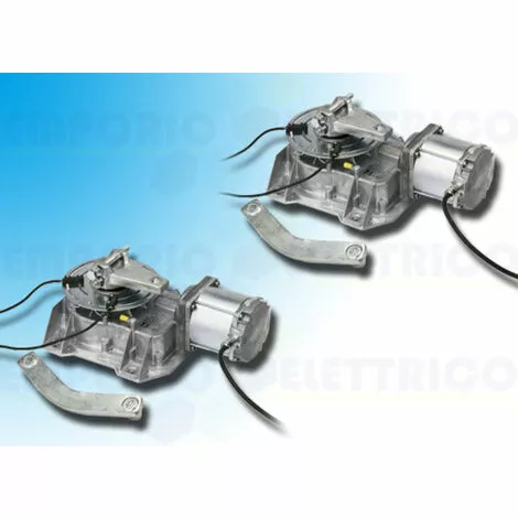 Came 2 X Motoréducteur 001frog-a24 Frog-a24 2 Came 2 X Motoréducteur 001frog-a24 Frog-a24 – Image 2