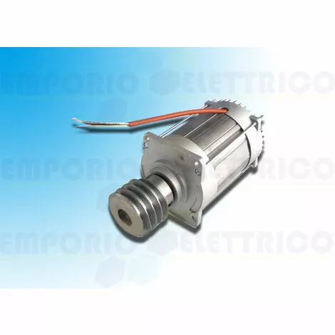 Came Pièce Détachée Moteur électrique Bk 88001-0100 2 Came Pièce Détachée Moteur électrique Bk 88001-0100 – Image 2