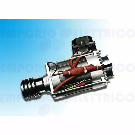 Came Pièce Détachée Moteur électrique Bk 88001-0205 2 Came Pièce Détachée Moteur électrique Bk 88001-0205 – Image 2