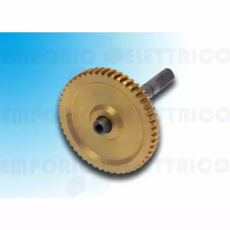 Came Pièce Détachée Arbre Lent Ver 119rie141 2 Came Pièce Détachée Arbre Lent Ver 119rie141 – Image 2