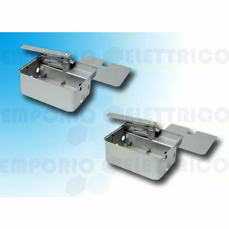 Came 2 X Caisse De Fondation En Acier Inox 001frog-cfni Frog-cfni (ex Frog-cfi) 2 Came 2 X Caisse De Fondation En Acier Inox 001frog-cfni Frog-cfni (ex Frog-cfi) – Image 2