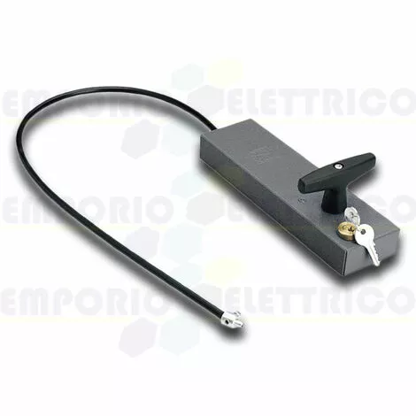 Came Poignée De Déverrouillage Avec Clé Personnalisée 001cms Cms 3 Came Poignée De Déverrouillage Avec Clé Personnalisée 001cms Cms – Image 3