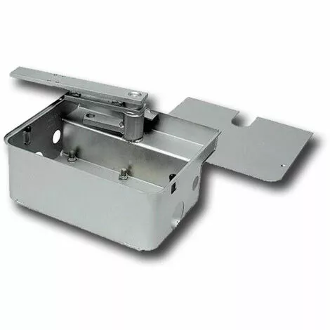 Came Caisse De Fondation En Acier Inox 001frog-cfni Frog-cfni ( Ex Frog-cfi ) 1 Came Caisse De Fondation En Acier Inox 001frog-cfni Frog-cfni ( Ex Frog-cfi )