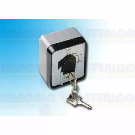 Came Sélecteur à clé Extérieur 001set-j Set-j 2 Came Sélecteur à clé Extérieur 001set-j Set-j – Image 2