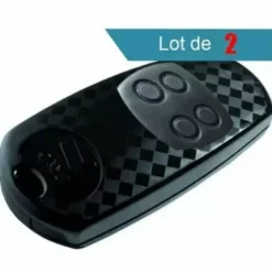 Lot De 2 Télécommandes CAME TOP-434EE